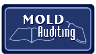 Moldauditing SRL Moldauditing SRL