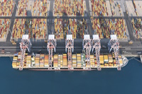 msc-mld