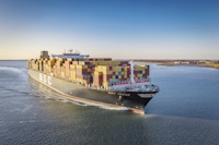 msc-mld
