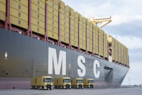 msc-mld