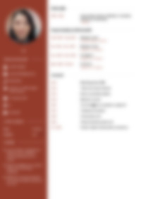 Cv Preview