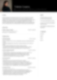 Cv Preview