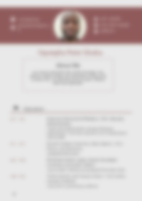 Cv Preview