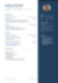 Cv Preview