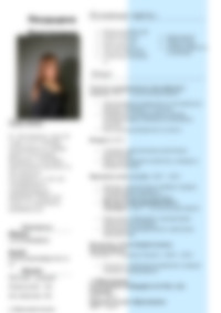 Cv Preview