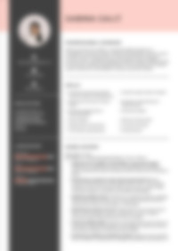 Cv Preview