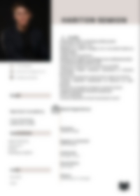 Cv Preview