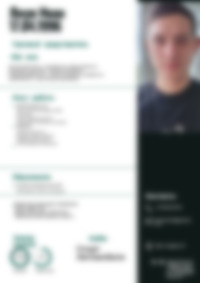 Cv Preview