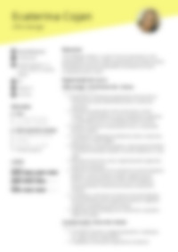 Cv Preview