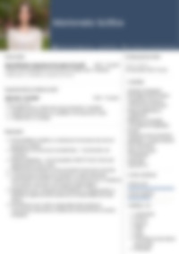 Cv Preview