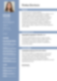Cv Preview