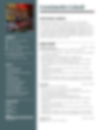 Cv Preview
