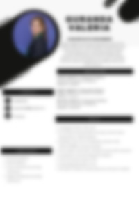 Cv Preview