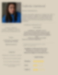 Cv Preview