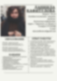 Cv Preview