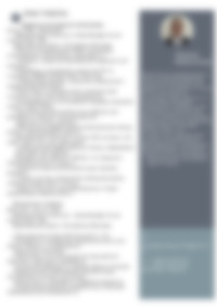 Cv Preview