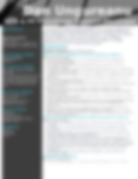 Cv Preview