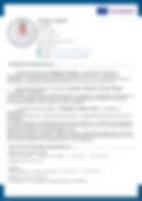 Cv Preview