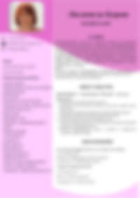 Cv Preview