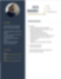 Cv Preview