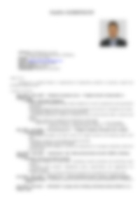 Cv Preview