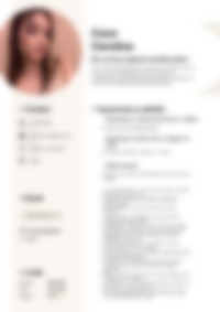 Cv Preview