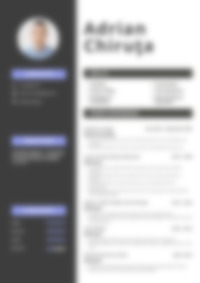 Cv Preview