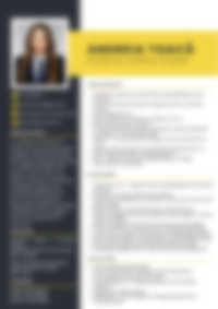 Cv Preview