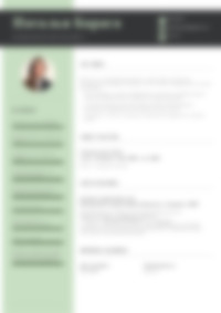 Cv Preview