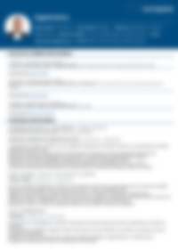 Cv Preview