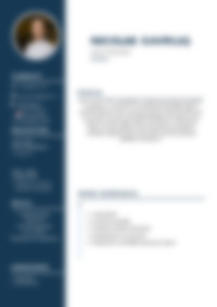 Cv Preview