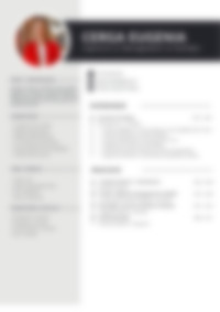 Cv Preview