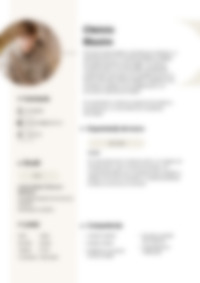 Cv Preview