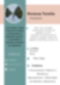 Cv Preview