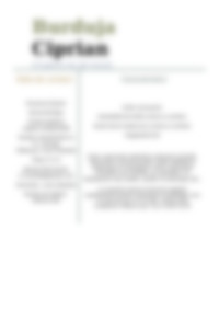 Cv Preview