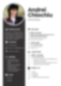Cv Preview