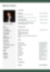 Cv Preview
