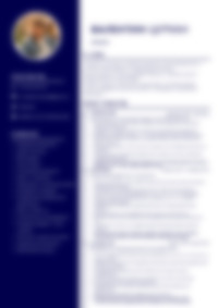 Cv Preview