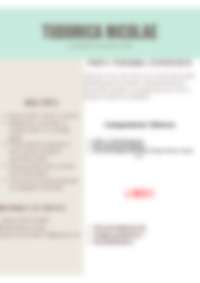 Cv Preview