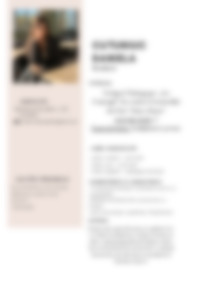 Cv Preview