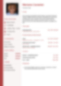 Cv Preview