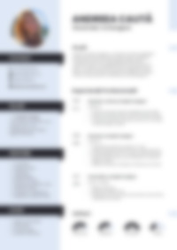 Cv Preview