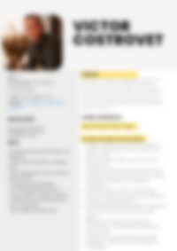 Cv Preview