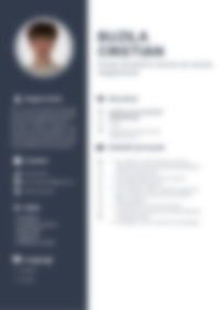 Cv Preview