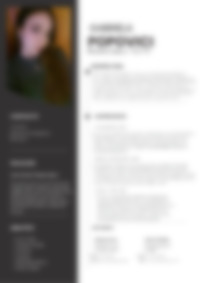 Cv Preview