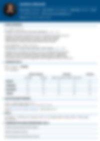 Cv Preview