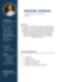 Cv Preview