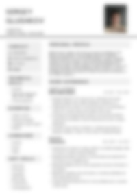 Cv Preview