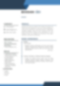 Cv Preview
