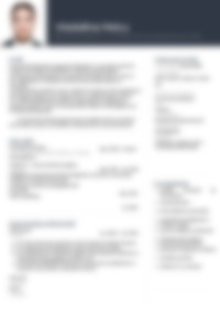 Cv Preview